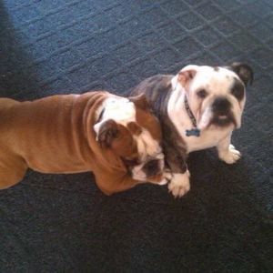 Meet your Posher, Michaele